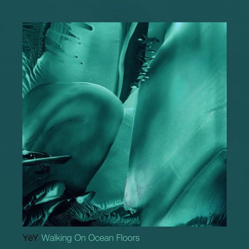YėY - Walking On Ocean Floors [BLV10276092]